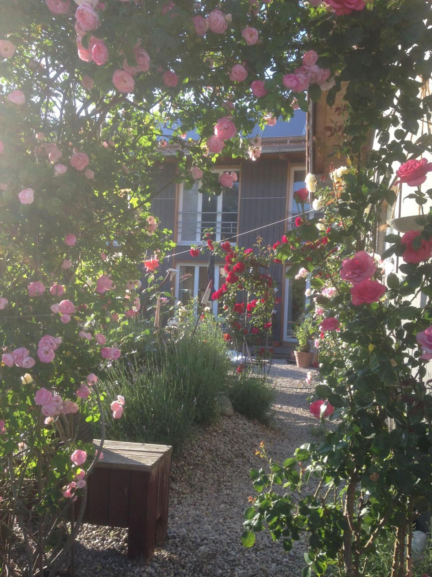 Apartment Schellenberg 20 Μπέργκεν Εξωτερικό φωτογραφία